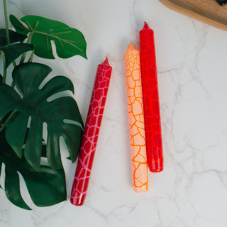 Das Stabkerzen-Set „Wildkerzen – Cameleon“ von Pink Stories mit stilisiertem, von Wildtieren inspiriertem Muster in kräftigem Rot und Orange. Die Kerzen liegen auf einer weißen Marmorfläche, begleitet von großen grünen Monstera-Blättern, die den exotischen Charakter des Designs betonen.